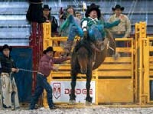 Latino bareback ranch adventure